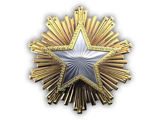 Service Medal 2016 Level 1