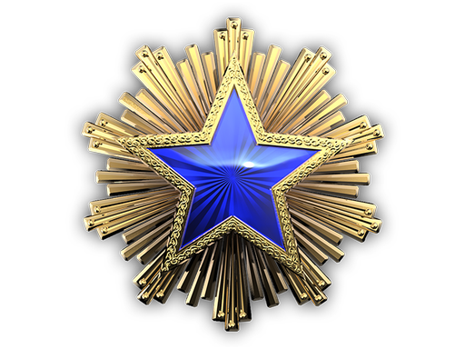 Service Medal 2016 Level 3