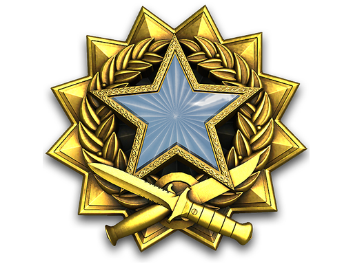 Service Medal 2017 Level 1