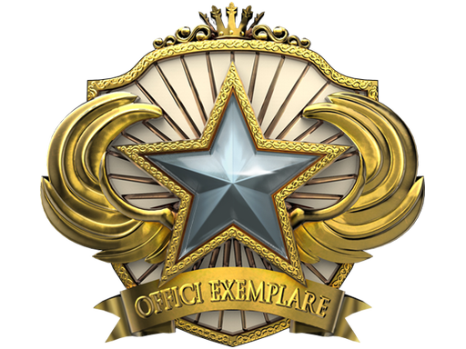 Service Medal 2018 Level 1