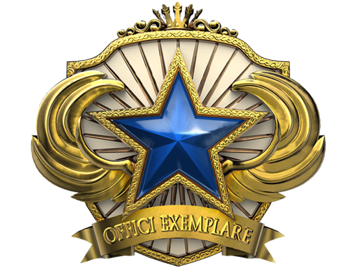 Service Medal 2018 Level 3