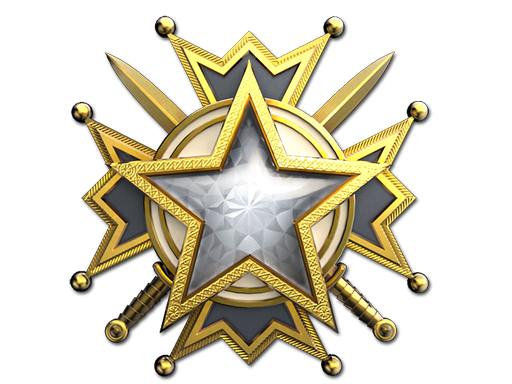 Service Medal 2019 Level 1