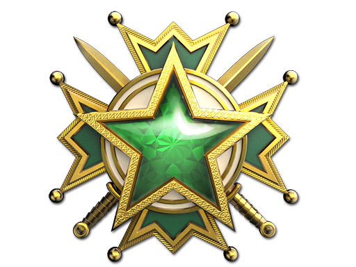 Service Medal 2019 Level 2