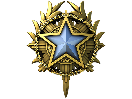Service Medal 2020 Level 1