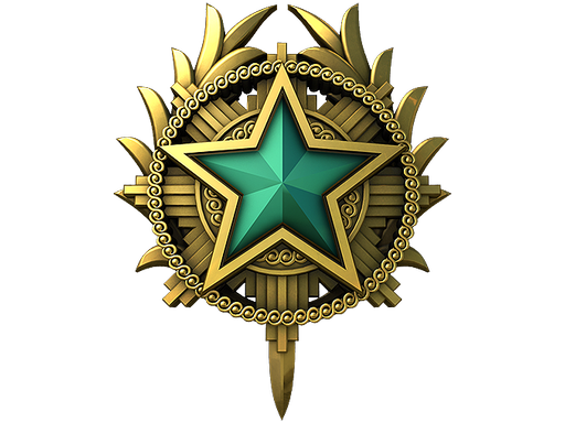 Service Medal 2020 Level 2