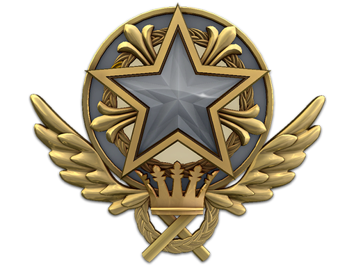 Service Medal 2021 Level 1
