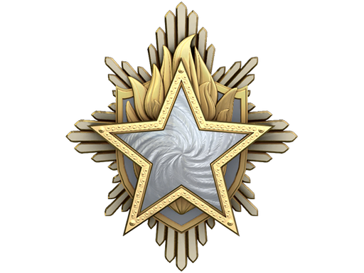 Service Medal 2023 Level 1