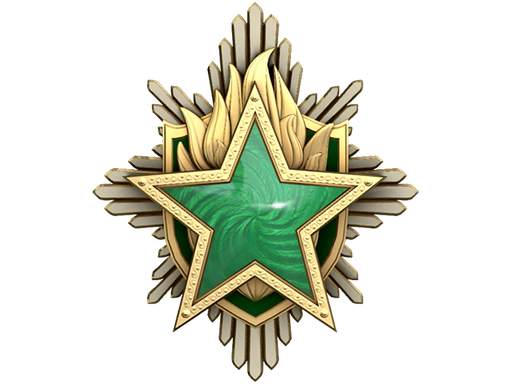 Service Medal 2023 Level 2