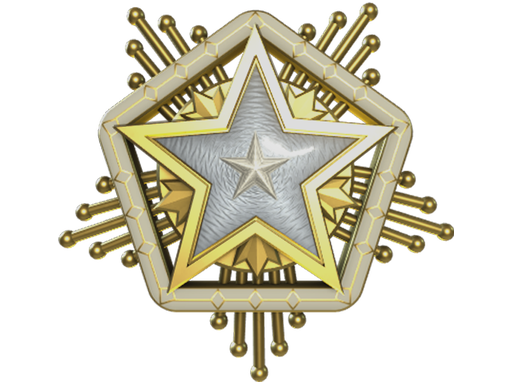 Service Medal 2024 Level 1