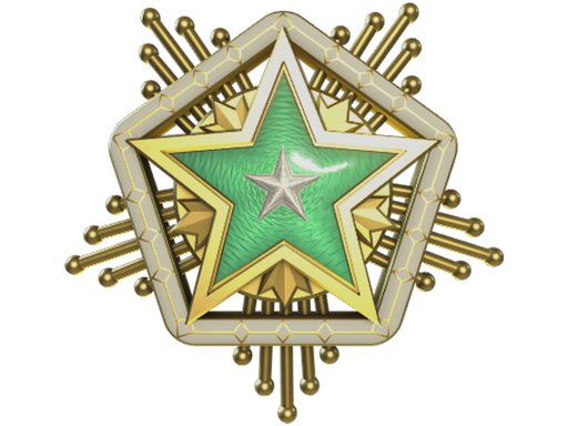 Service Medal 2024 Level 2